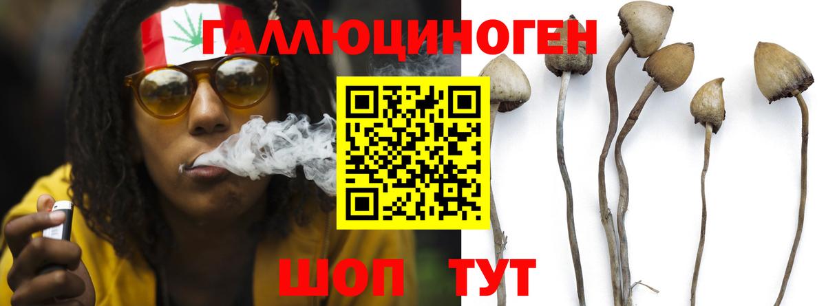 Галлюциногенные грибы GOLDEN TEACHER  Вход с VPN  хочу наркоту  Иваново 